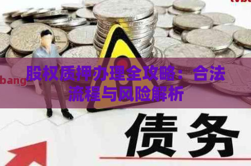 股权质押办理全攻略：合法流程与风险解析