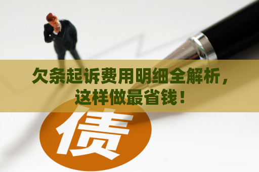 欠条起诉费用明细全解析，这样做最省钱！