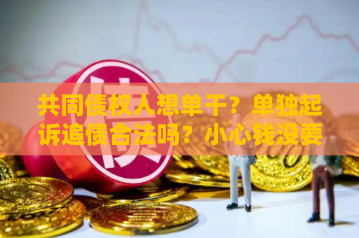 共同债权人想单干？单独起诉追债合法吗？小心钱没要到反惹一身骚！