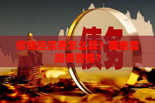 借钱担保费怎么算？哪些套路要警惕？